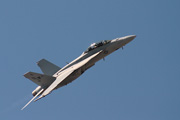 F/A-18F Super Hornet, Royal International Air Tattoo 2006